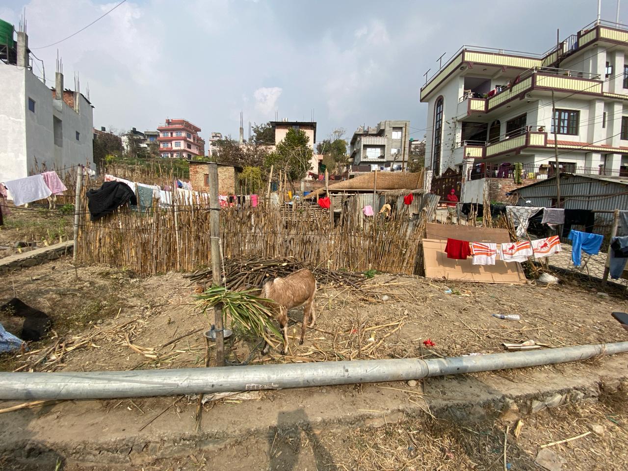 Picture of Mahalaxmi Municipality, Bagmati